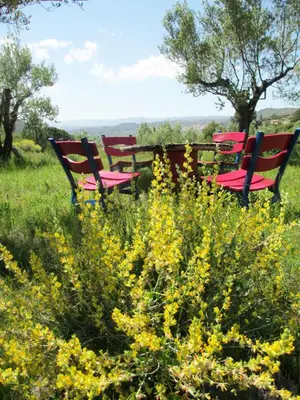 four park benches sitting in a field of flowers at Sharíqua in Jérica