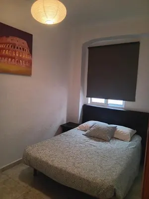 a bedroom with a bed with a window and avertisement at Apartamento Ciudad de las Ciencias 3 in Valencia