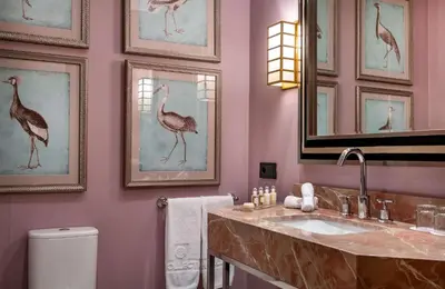 a bathroom with a sink and framed pictures of birds at NH Collection Colón Valencia in Valencia