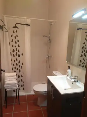 a bathroom with a sink and a toilet and a shower at Casa Rural La Tia Rosa in Chulilla