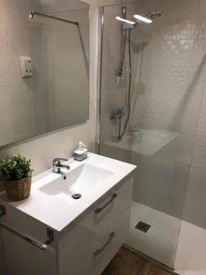 a white bathroom with a sink and a shower at Botanic in Valencia
