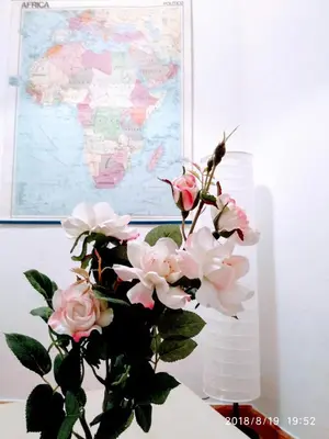 a vase with pink flowers on a table with a map at Valencian Dreams of the Proletariat in Valencia