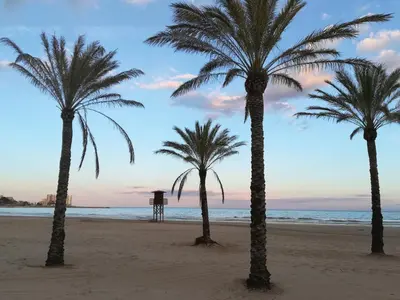 three palm trees on the beach at sunset at Apartamento Florazar 2, 8ºC in Cullera