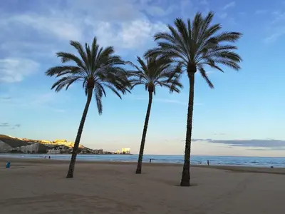 three palm trees on a sandy beach near the ocean at Apartamento Florazar 2, 8ºC in Cullera