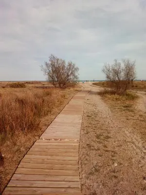 a wooden path in the middle of a field at Apartmento playa Almarda. Piscina&Parking in Almarda