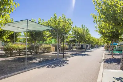 a street with trees and an umbrella on a sidewalk at Camping y Bungalows Monmar in Moncófar