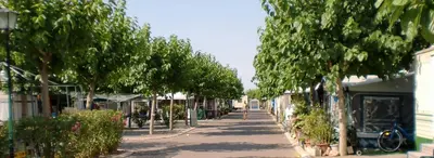 a tree lined street in a town with houses at Camping y Bungalows Monmar in Moncófar