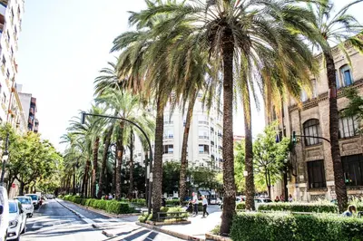 a street with palm trees on a city street at Valencia Apartamentos Goya in Valencia