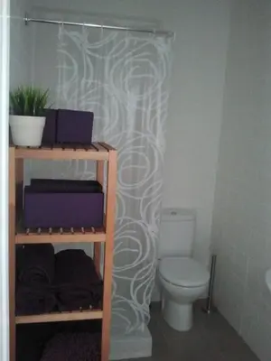 a bathroom with a toilet and a white shower curtain at Carrer de Dénia in Valencia