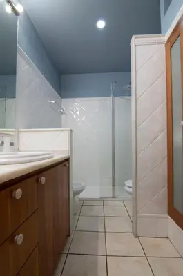 a bathroom with a shower and a sink and a toilet at Junto al Mercado de Ruzafa in Valencia