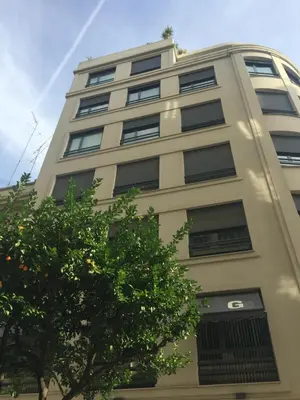 a tall white building with a tree in front of it at Ático Valencia Centro in Valencia