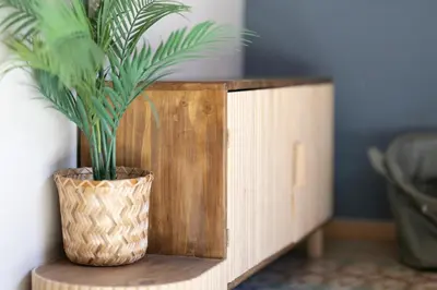 a potted plant sitting on top of a wooden table at Bird House in Valencia