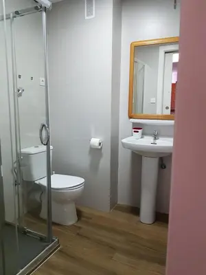 a bathroom with a toilet and a sink and a mirror at PLAZA REDONDA brugada home in Valencia