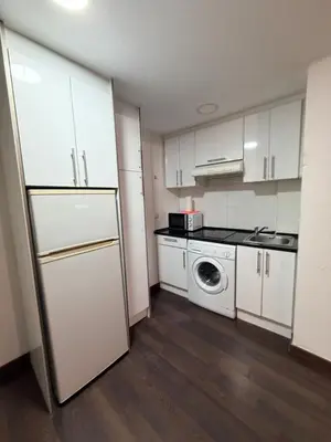 a kitchen with white cabinets and a washer and dryer at Zerka Centro in Valencia