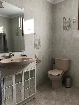 a bathroom with a sink and a toilet and a mirror at Bonito piso en el centro de Benaguacil in Benaguacil