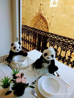 two stuffed panda bears sitting at a table at Valencian Dreams Lonja in Valencia