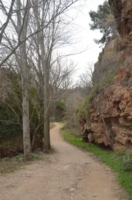 a dirt road with trees on the side of a mountain at Apartamento Casa Rafa in Navajas