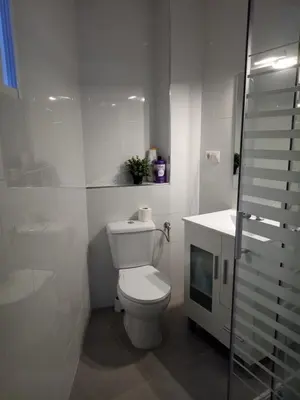a white bathroom with a toilet and a sink at Sofia's Flat in Valencia