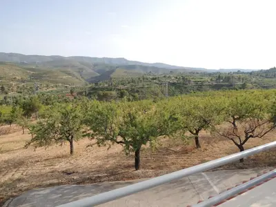 a view of a field with trees and mountains at Finca Mirador in Macastre