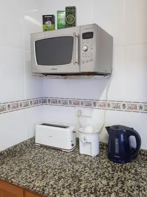a microwave sitting on top of a kitchen counter at APARTAMENTO LOS NARCISOS in Chulilla