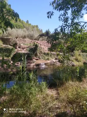 a creek in a field with rocks and trees at Casa Vall de Almonacid in Vall de Almonacid