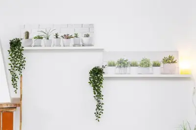 a shelf filled with plants on a white wall at Casa Valle del Turia in Chulilla