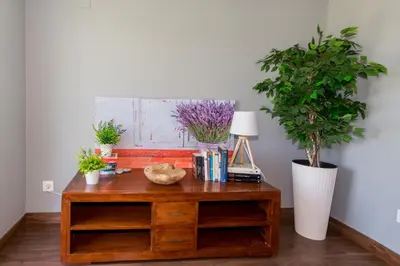 a wooden desk with plants on top of it at Duplex Penthouse with terrace. Beach-Pool in Canet de Berenguer