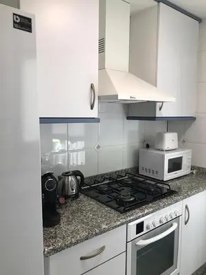 a kitchen with a stove and a microwave at PATACONA MARE NOSTRUM APARTMENT II in Valencia