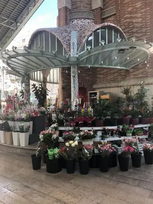 a flower market with lots of pots of plants at Garden Turia Downtown in Valencia