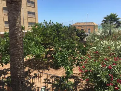 a garden with flowers and a palm tree and a building at Casa Ferrada in Burriana