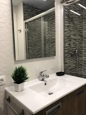 a bathroom sink with a potted plant on it at Sun & Beach Pobla in Puebla de Farnals