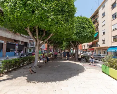 a dog sitting under a tree on a sidewalk at Bioparc Metro Valencia in Valencia