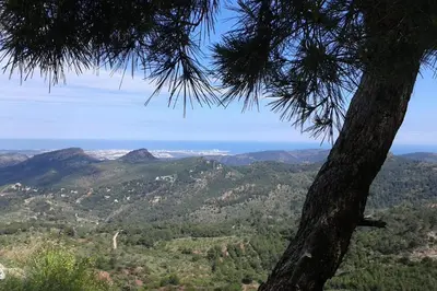 a view of a mountain range with a tree at Rosita Casa Rural in Estivella