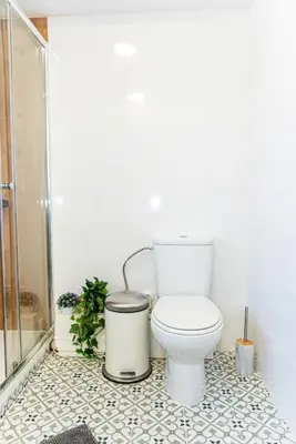 a bathroom with a toilet and a walk in shower at Catedral Reina Apartaments in Valencia