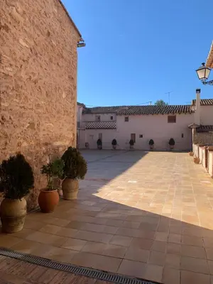 a courtyard with potted plants in front of a building at Castillo con piscina en plena Sierra Calderona in Segorbe