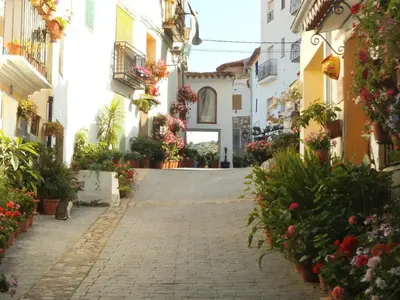 an alley with potted plants on the side of a building at La Casa Mora in Jérica
