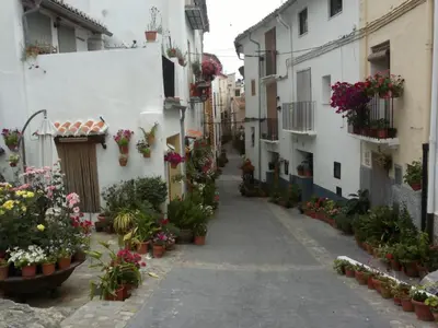 a cat sitting on a cobblestone street with flowers at La Casa Mora in Jérica
