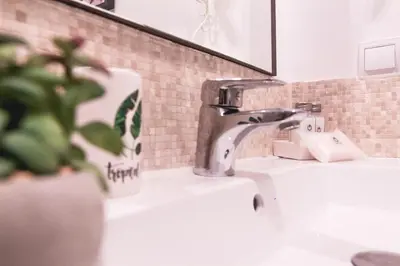 a bathroom sink with a faucet and a plant at Ruzafa Apartment in Valencia