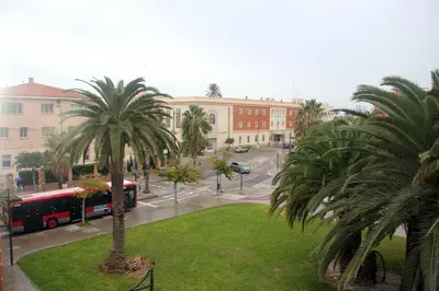 a bus is driving down a street with palm trees at Holiday Apartments Malvarrosa Beach in Valencia