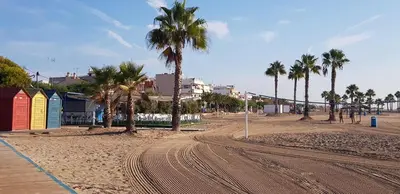 a beach with palm trees and a dirt road at Apartamento Playa Moncofar - Xilxes in Moncófar