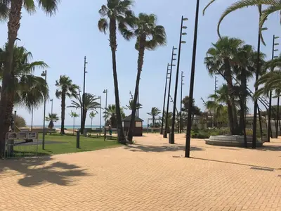 a park with palm trees and a sidewalk with palm trees at Apartamento Playa Grau Moncofa in Moncófar