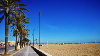 a beach with palm trees and a street light at Emma Apartment Central in Valencia
