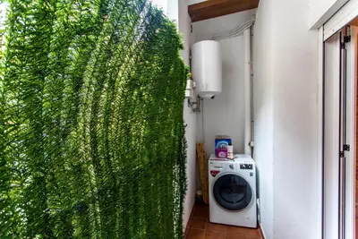 a green ivy covered wall next to a washing machine at LUXURIOUS & ALLURING HOME IN HISTORIC TOWN (VALENCIA) in Valencia