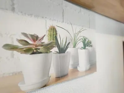 a group of plants in white vases on a shelf at Global Vacacional, Apartamento 2 dormitorios en Canet d'en Berenguer in Canet de Berenguer