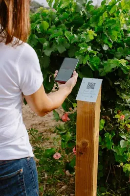 a woman holding a tablet on a wooden post at Pago de Tharsys in Requena