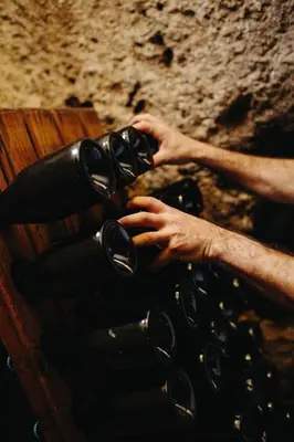 a person is holding onto a bin of wine bottles at Pago de Tharsys in Requena