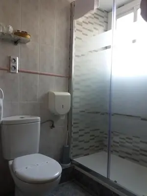 a bathroom with a toilet and a shower at Hostal La Pilarica in Paterna