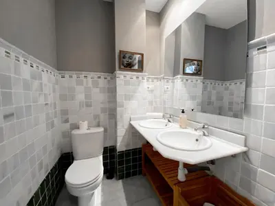 a bathroom with a toilet and a sink at Valencia Centro. Wifi/AACC Jacuzzi in Valencia