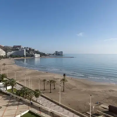 Florazar 3