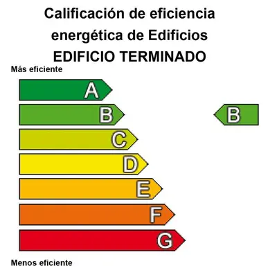 a diagram of the cellification of extracellular electronica and epithelia at Residencia Universitaria Resa La Concepción in Valencia